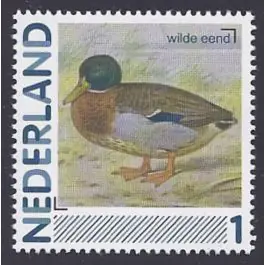 Wysoka jakość Nederland 2012: NVPH: 2791-Aa-70: "Vogels in Nederland": Wilde eend:postfris