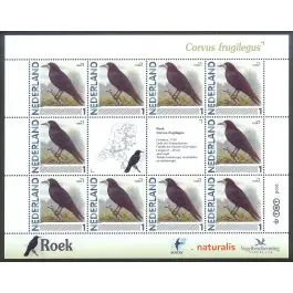 Zwrot pieniędzy Nederland 2011: NVPH: V2791-Aa-51: "Vogels in Nederland": Roek: velletje postfris