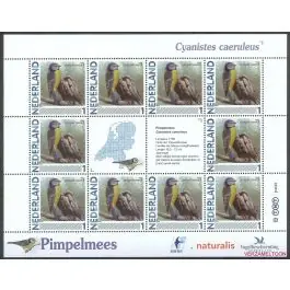 Oferta Nederland 2011: NVPH: V2791-Aa-47: "Vogels in Nederland": Pimpelmees: velletje postfris
