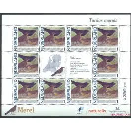 Autentyczny Nederland 2011: NVPH: V2791-Aa-40: "Vogels in Nederland": Merel: velletje postfris