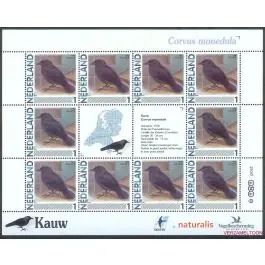 Niska cena Nederland 2011: NVPH: V2791-Aa-28: "Vogels in Nederland": Kauw: velletje postfris