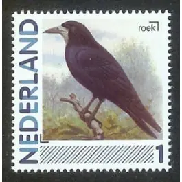 Oferta Nederland 2011: NVPH: 2791-Aa-51: "Vogels in Nederland": Roek: postfris