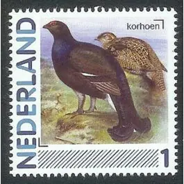 Nowość Nederland 2011: NVPH: 2791-Aa-36: "Vogels in Nederland": Korhoen: postfris