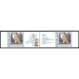 Tylko dziś Nederland 2011: NVPH: 2791-Aa-29: "Vogels in Nederland": Kerkuil: strip postfris