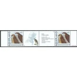 Bezpieczna płatność Nederland 2011: NVPH: 2791-Aa-23: "Vogels in Nederland": Havik: strip postfris