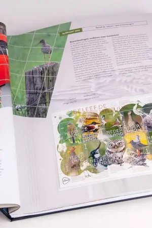 Oferta limitowana Davo suppl. NL Geillustreerd 2020