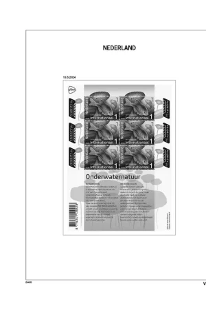 Ekspresowa dostawa Davo suppl. NL Velletjes 2024