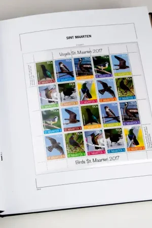 Wysoka jakość Davo suppl. Sint Maarten 2024