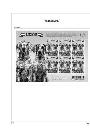 Ekspresowa dostawa Davo suppl. Typisch NL 2024