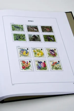 Darmowa dostawa Davo supplement Jersey 2024