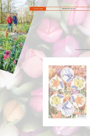 Promocja Suppl. Ned. Geillustr. Velletjes 2024