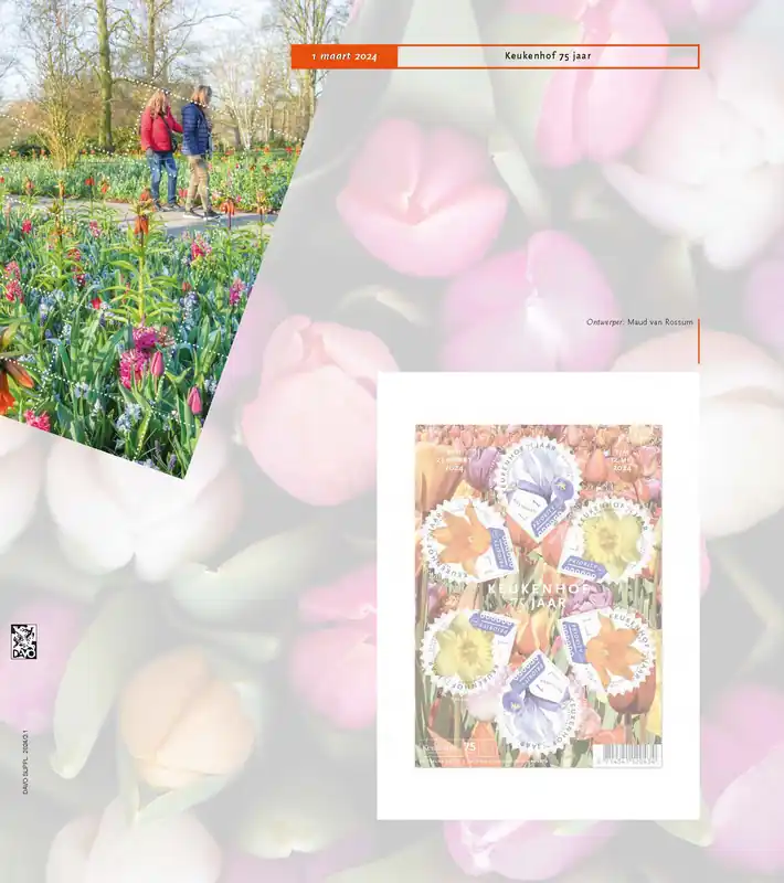 Promocja Suppl. Ned. Geillustr. Velletjes 2024