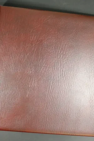 Kup teraz Lindner album Nederland 1980-1987