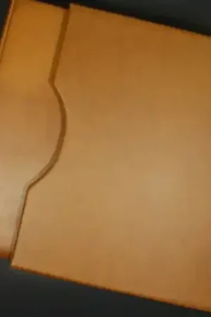 Set van 2 Lindner albums Polen Darmowa dostawa