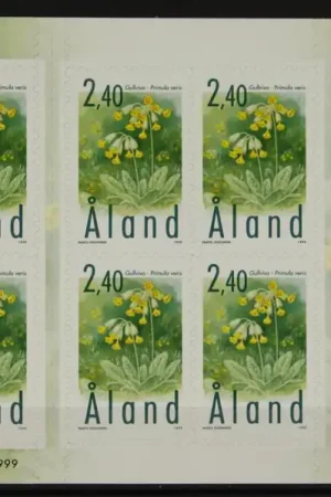 Promocja Aland Michel 156 Vel