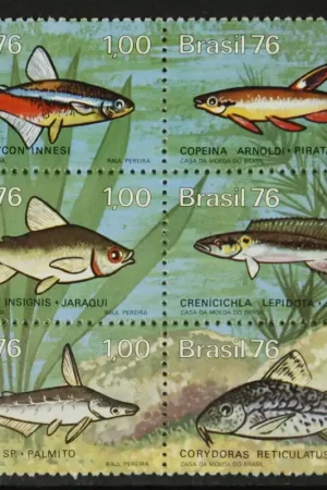 Wysoka jakość Brazilie Michel 1545-1550