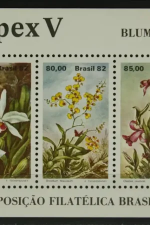 Brazilie Michel Blok 9 Ekspresowa dostawa