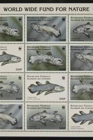 Comoren Michel 1261-1264 Promocja