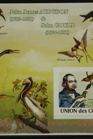 Comoren Michel Blok 457 Promocja