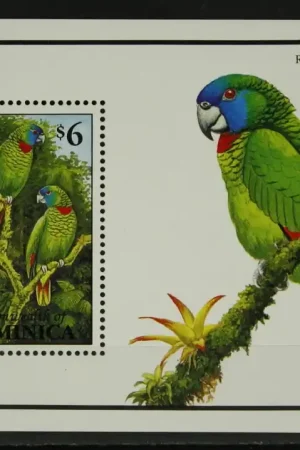 Dominica Michel Blok 231 Rabat