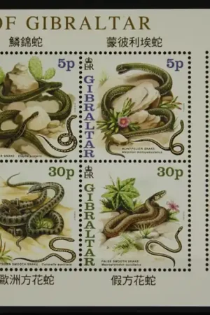 Ekspresowa dostawa Gibraltar Michel 955-961