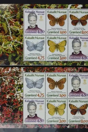 Groenland Michel 300-304 Autentyczny