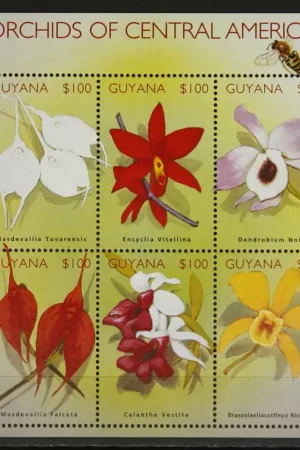 Guyana Michel 7424-7429 Niska cena