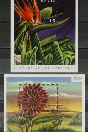 Kup teraz Nevis Michel Blok 193-194