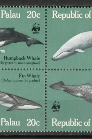 Oferta limitowana Palau Eilanden Michel 20-23