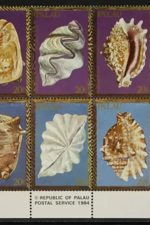 Palau Eilanden Michel 37-46 Oryginalny