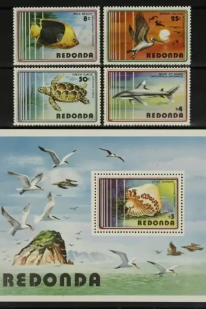 Redonda Michel 40-44 Wysoka jakość