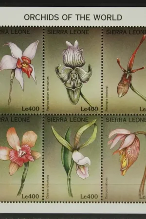 Oferta Sierra Leone Michel 2918-2923