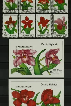 Tanzania Michel 704-713 Popularny