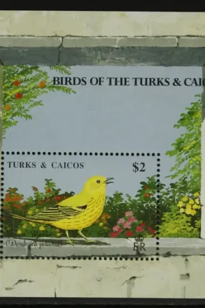 Turks & Caicos Eilanden Michel Blok 83 Popularny