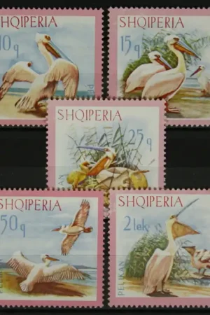 Wyprzedaż Albanie Michel 1138-1142