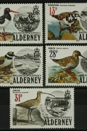 Tani Alderney Michel 13-17