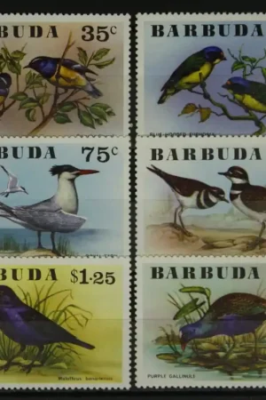 Wyprzedaż Barbuda Michel 261-266