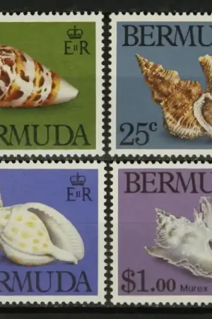 Tani Bermuda Michel 408-411