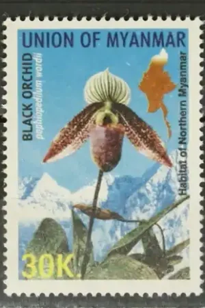 Oferta limitowana Birma - Myanmar Michel 363