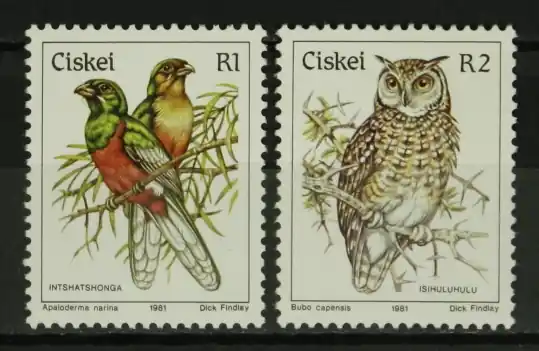 Wysoka jakość Ciskei Michel 20-21 x