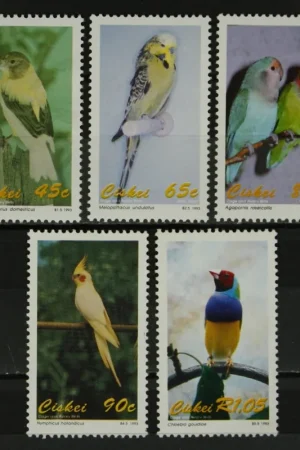 Ciskei Michel 233-237 Zamów teraz