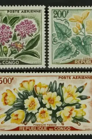 Popularny Congo Brazzaville Michel 9-11