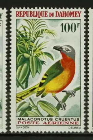 Wyprzedaż Dahomey Michel 278-280