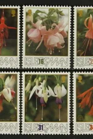 Eiland Man Michel 375-380 Nowość