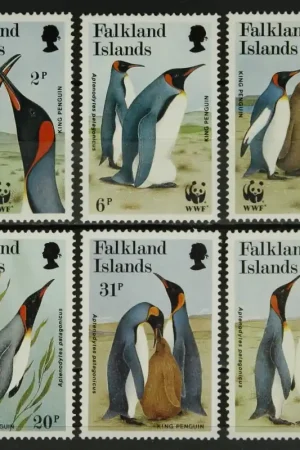 Falkland Eilanden Michel 538-543 Bezpieczna płatność