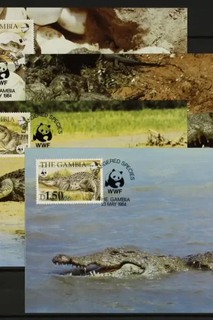 Wysoka jakość Gambia Michel 517-520 Maximumkaarten