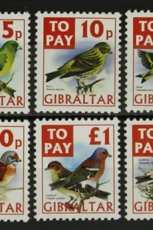 Nowość Gibraltar Michel Port 26-31