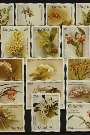 Guyana Michel 1437-1452 Tani