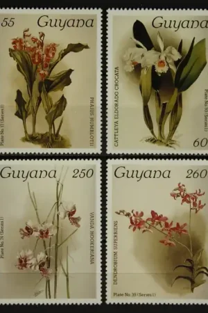 Guyana Michel 1603-1610 Tylko dziś