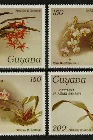 Wysoka jakość Guyana Michel 1637-1640